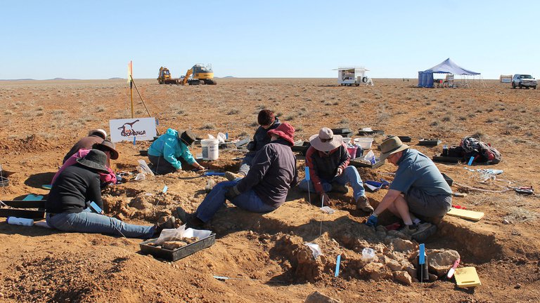 Excavación de los restos del dinosaurio. 